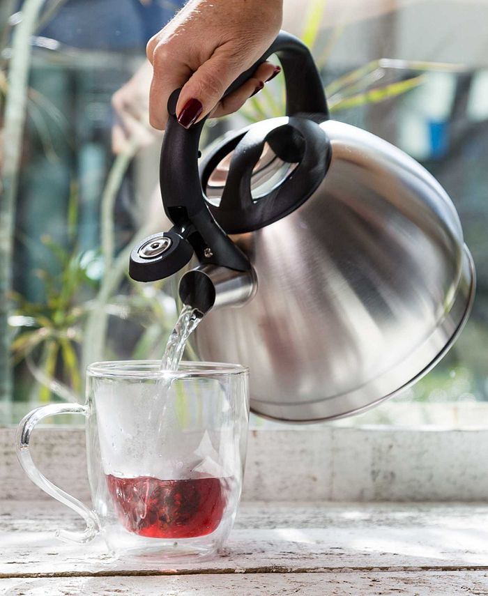 Primula Stainless Steel 3 Quart Cascade Whistling Stovetop Tea Kettle