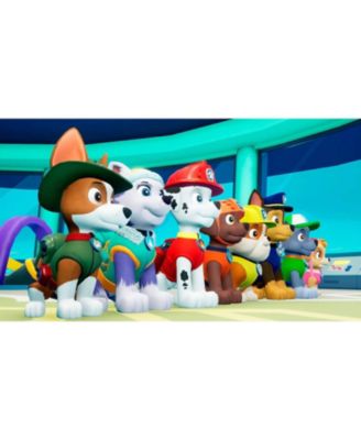 Paw Patrol On A Roll! - Nintendo Switch