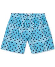 Trunks surf and swim co website 2025