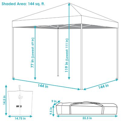 Standard Pop-Up Canopy with Carry Bag and Sandbags