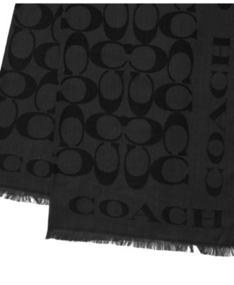 Women's Signature Border Scarf