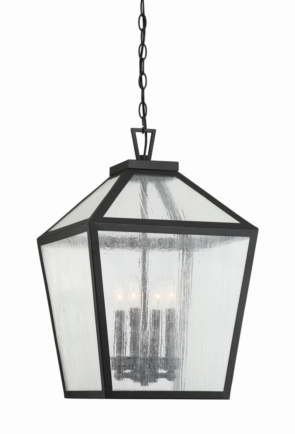 Woodstock 4-Light Outdoor Hanging Lantern in Black - Black