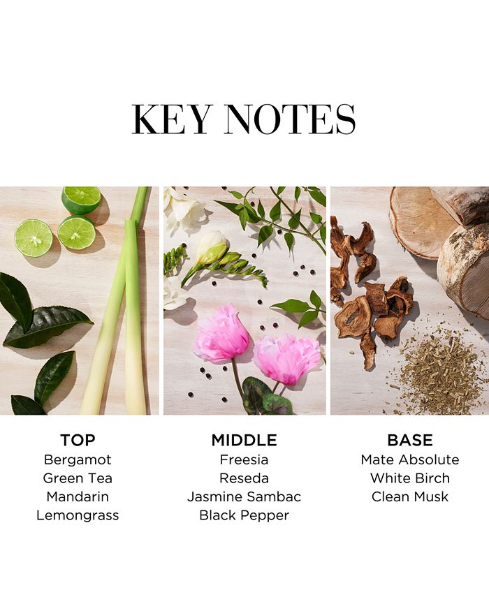 Elizabeth Arden Green Tea Citron Freesia Eau de Toilette, 3.3 oz. Macy's