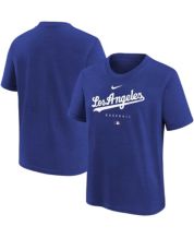 Nike Youth Boys and Girls Freddie Freeman Royal Los Angeles Dodgers City  Connect Replica Player Jersey