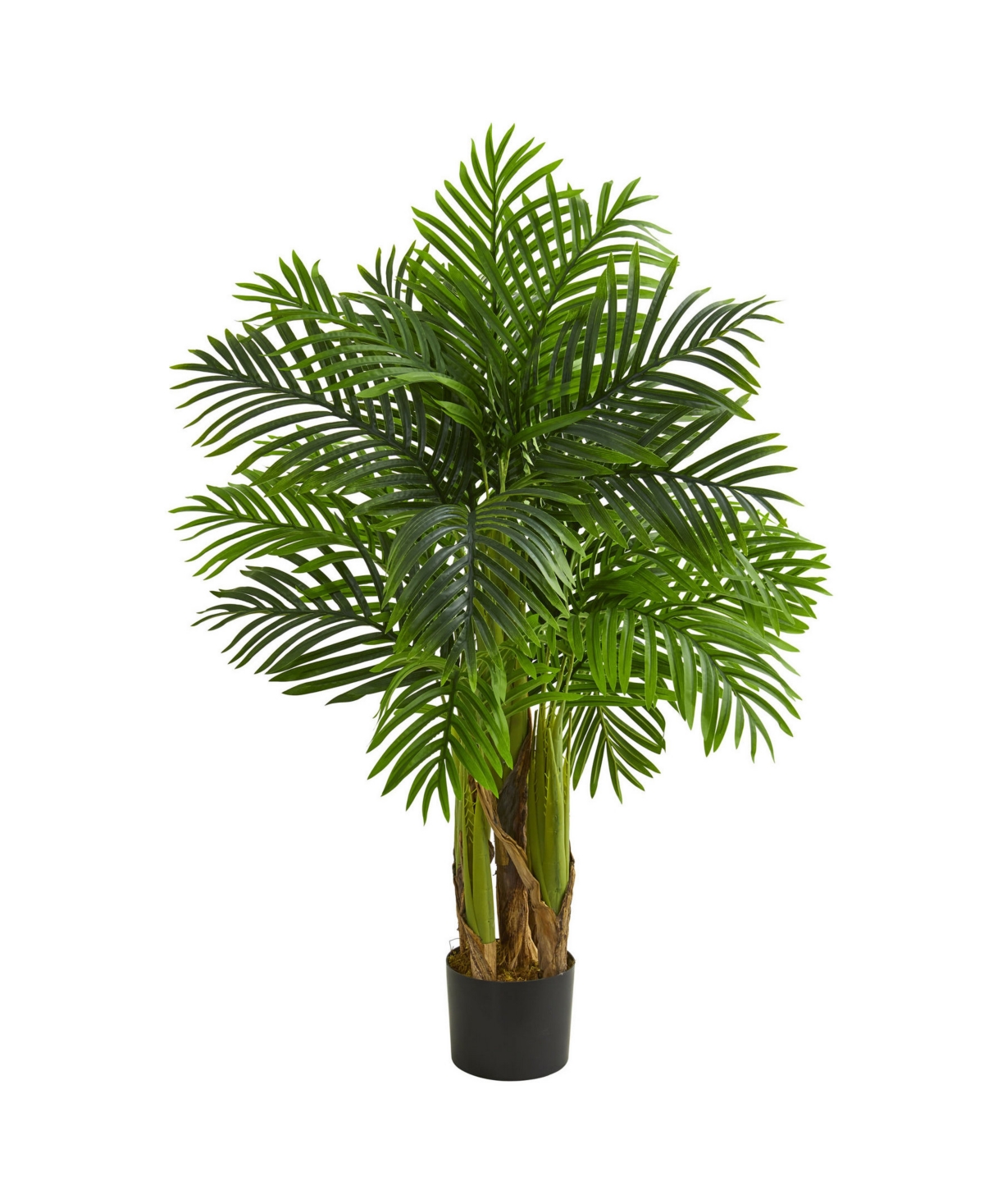 Kentia Palm Artificial Tree - Green