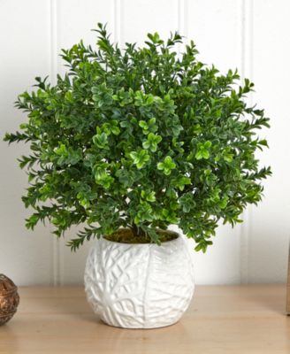 Boxwood Evergreen Indoor/Outdoor Artificial Plant in White Vase