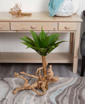 32" Agave Plant w/ Stem