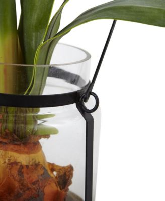 24" Amaryllis w/Vase