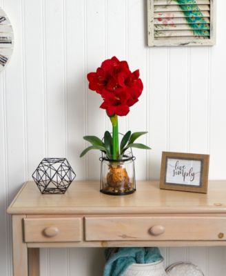 24" Amaryllis w/Vase
