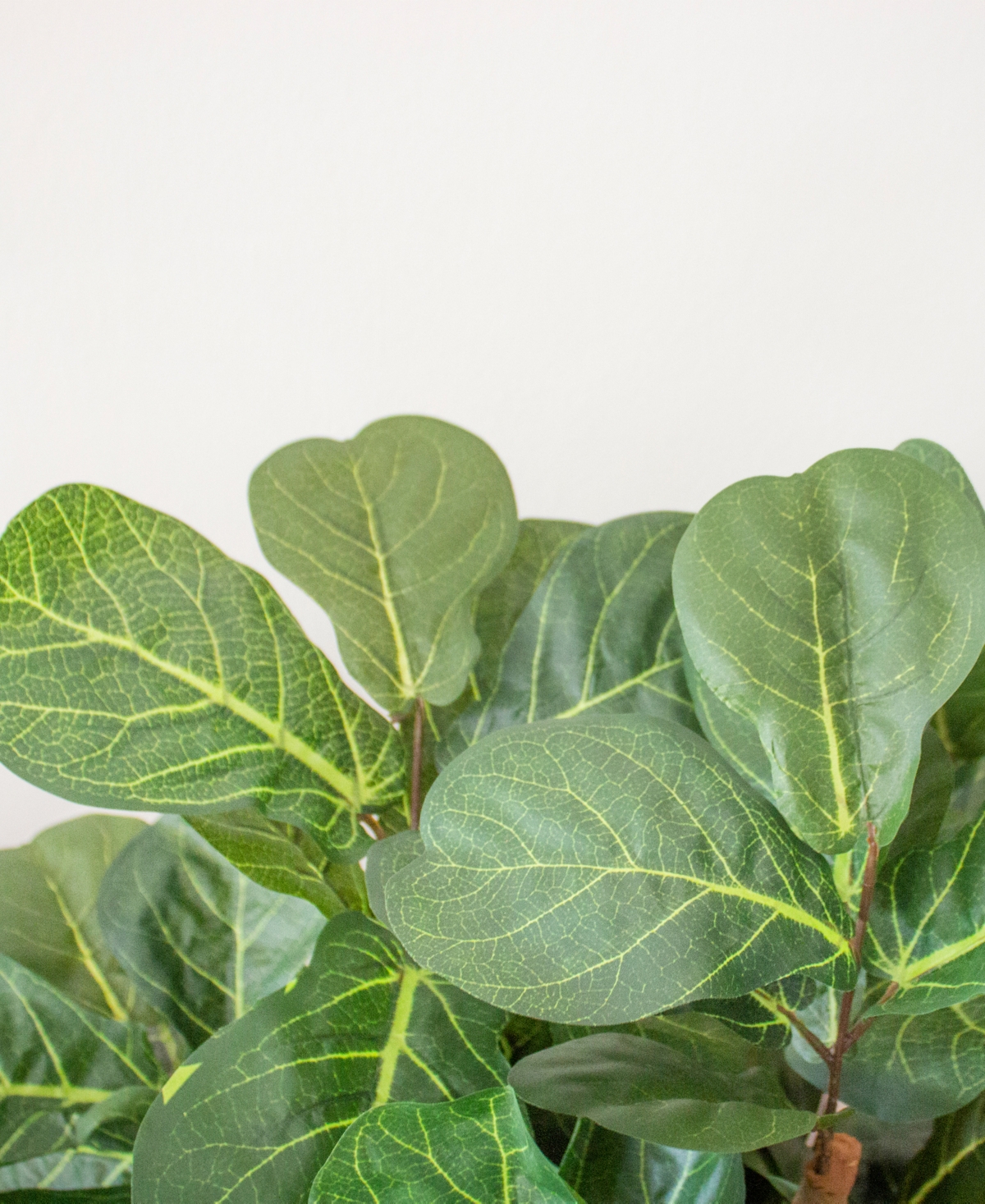 NEARLY NATURAL 4' FIDDLE LEAF FIG ARTIFICIAL TREE 