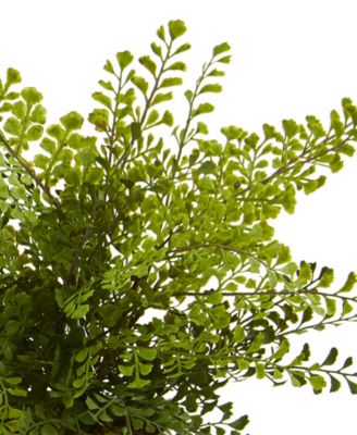 14'' Assorted Ferns with Planter Artificial Plant, Set of 3