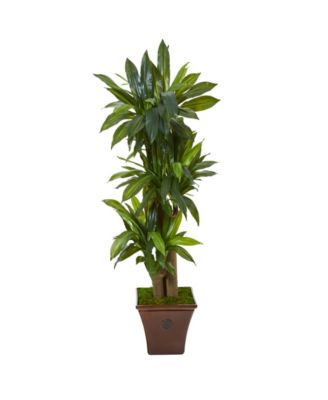 Nearly Natural - 57in. Corn Stalk Dracaena Artificial Plant in Brown Planter Real Touch