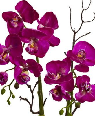 Orchid and Succulent Floral Arrangement