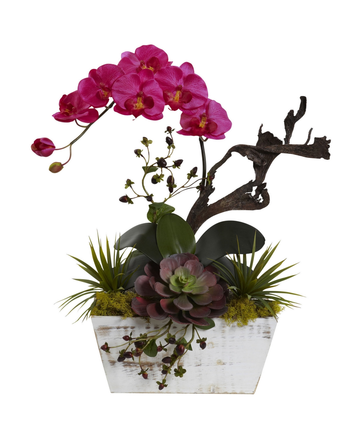 Orchid and Succulent Garden w/ White Wash Planter - Beauty Pink