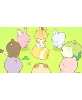 NSW - CUDDLY FOREST FRIENDS