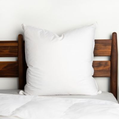 20" x 20" Feather Down Square Throw Pillow Insert