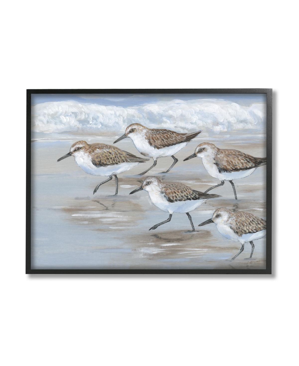 Stupell Industries Sandpiper Birds Beach March Framed Giclee Art, 16" X 1.5" X 20" In Multi-color