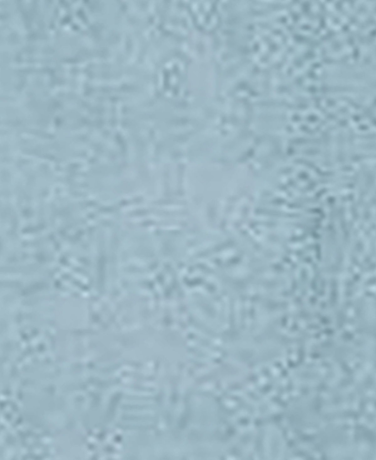 Bayshore Home Canton Shag Solid Area Rug