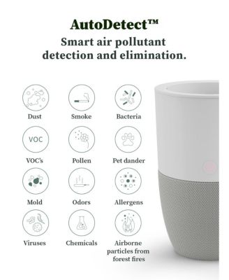 Bloom Air Purifier, Smart HEPA-13 Medical-Grade Filtration, Large Rooms (1,517 Sq. Ft.) with Integrated Planter