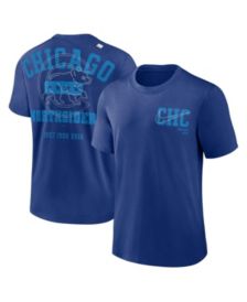 Chicago Cubs G-III 4Her by Carl Banks Women's City Graphic V-Neck Fitted T- Shirt - Heather Gray