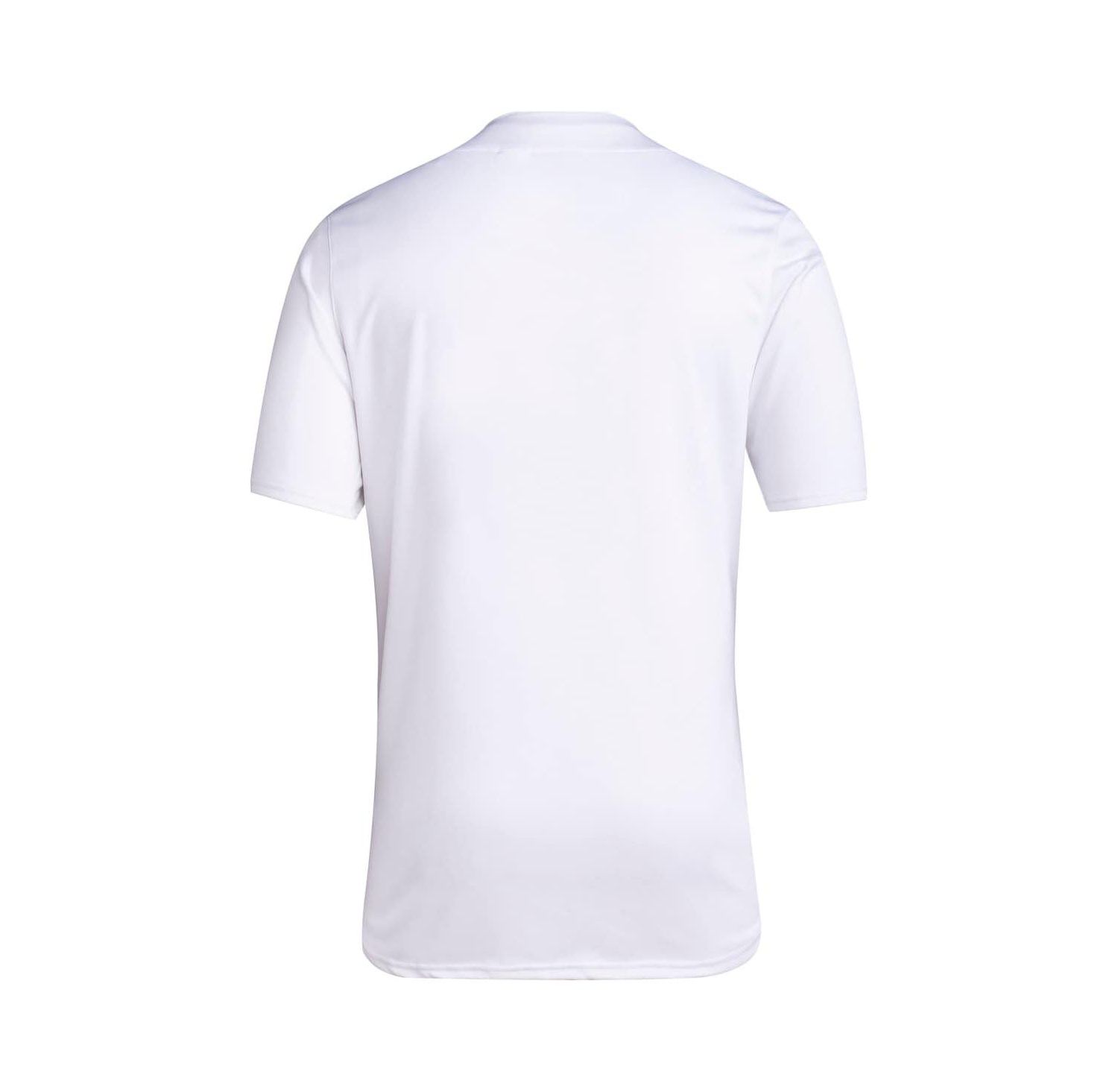 Men's White Washington Huskies Team Baseball Jersey