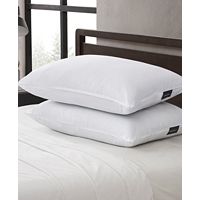  2-Pack Eddie Bauer Down Alternative Jumbo Pillow (Standard) 