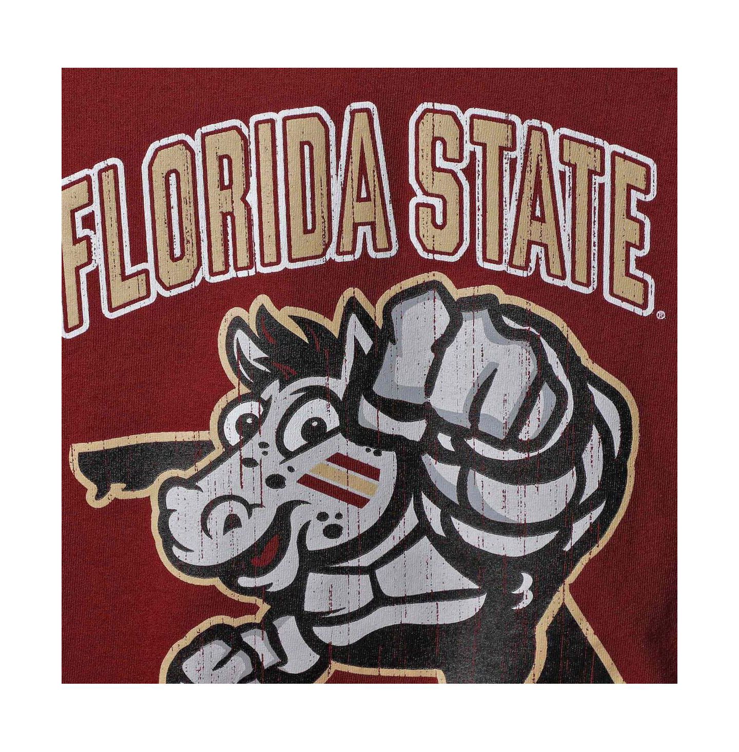 Футболка Champion Garnet Florida State Seminoles Strong Mascot T-shirt для мальчиков — фото 5