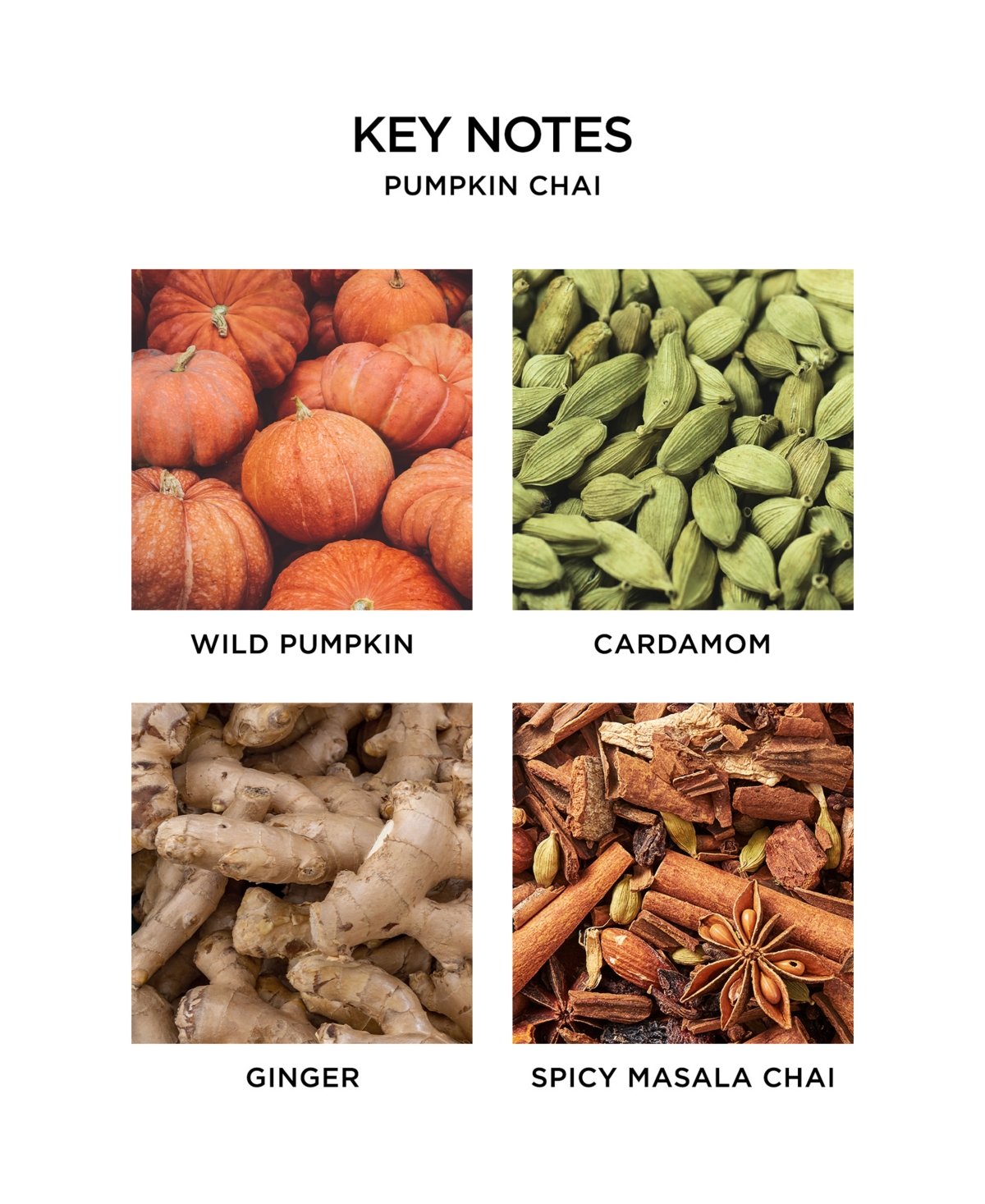 Nest New York Pumpkin Chai Classic Candle, 8.1 oz