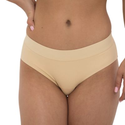 Women's Nude Shade Mesh Hipster Bikini Panty