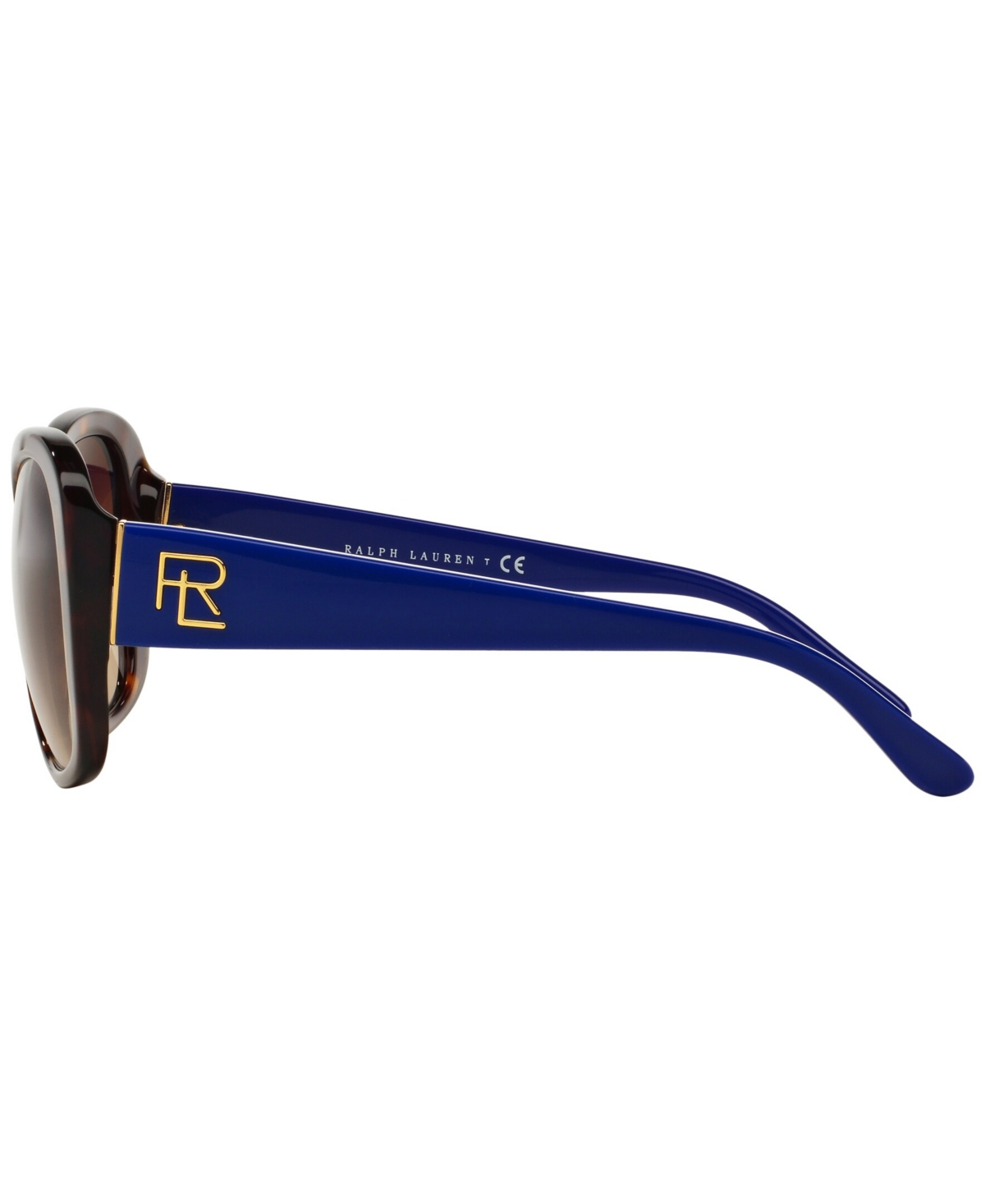 Shop Ralph Lauren Women's Sunglasses, Rl8144 In Shiny Dark Havana