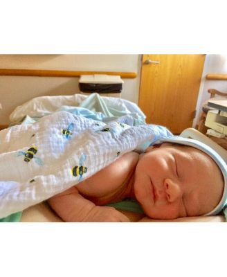 GOTS Certified Organic Muslin Swaddle - Two-Pack Gift Set, Busy Bees (Bee + Bee Hive)