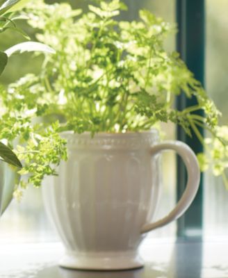 French Perle Groove Mugs, Set Of 4