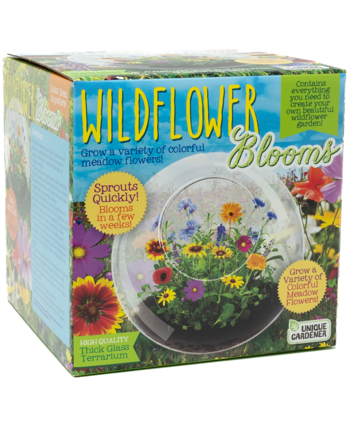 Areyougame Unique Gardener Glass Terrarium Wildflower Blooms Plant Kit In No Color