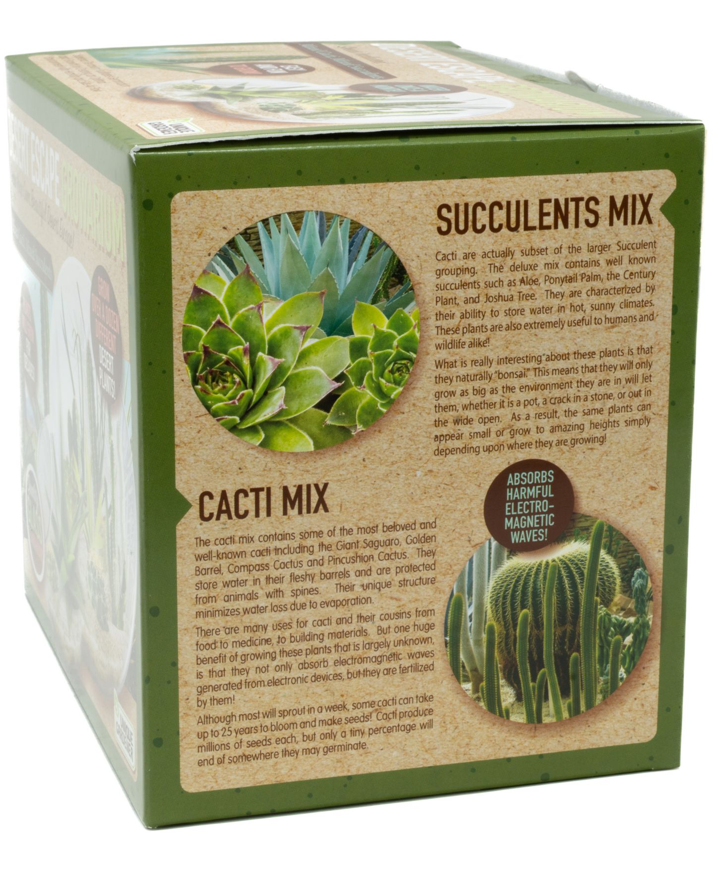 Детские игрушки Areyougame Desert Escape Growarium Cactus and Succulent Growing Kit, Ages 4+ — фото 5