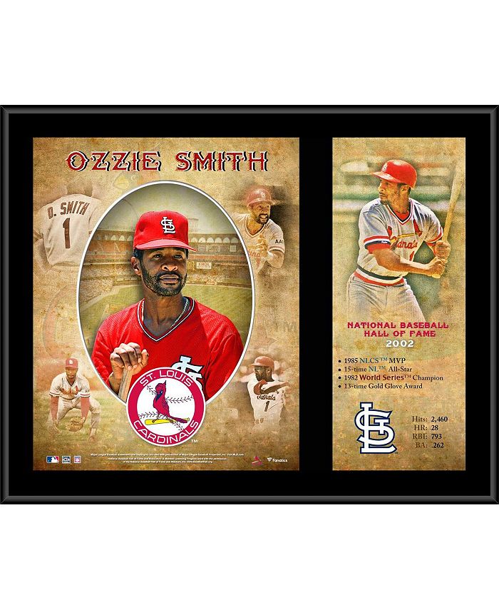 MLB Fanatic: St. Louis Cardinals 12 x 12 Paper