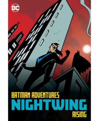 Barnes & Noble Batman Adventures- Nightwing Rising By Hillary Bader ...