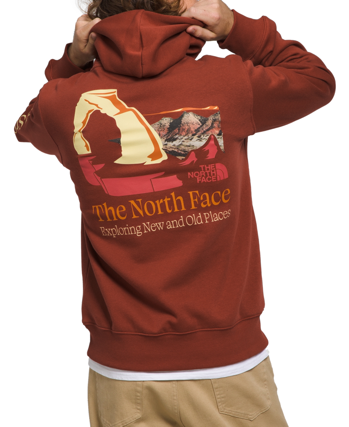 The North Face Places We Love Graphic Hoodie In Brandy Brown,sun Sprite