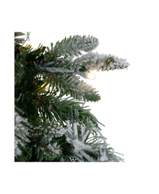 Pre-Lit Flocked Rosemary Emerald Angel Pine Artificial Christmas Wreath - 30" Clear LED Lights