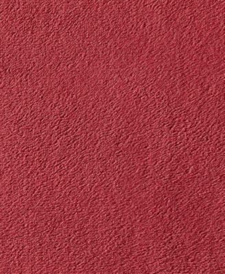 Solid Ultra Soft Plush Fleece Blanket, Twin