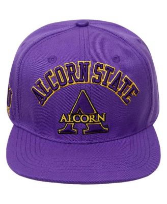 Men's Purple Alcorn State Braves Evergreen Arch Over Logo Snapback Hat