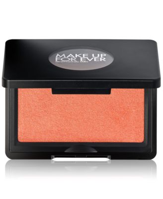 Artist Longwear Skin-Fusing Powder Blush