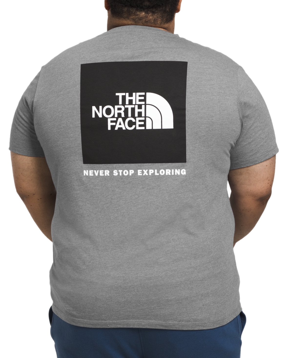 The North Face Mens Big S/s Box Nse Tee In Tnf Medium Grey Heather,tnf Black