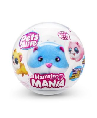 Zuru Pets Alive Hamstermania Series 1 Capsule Playset, 1 ct - City Market