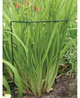 Luster Leaf Vinyl Plant Prop Ups, 40 in Tall Support