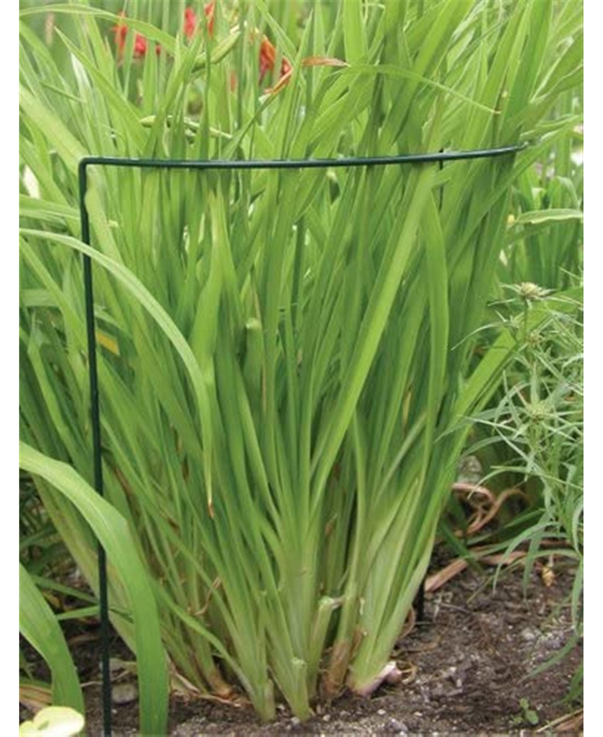 Luster Leaf Vinyl Plant Prop Ups, 40 Inches Tall Support