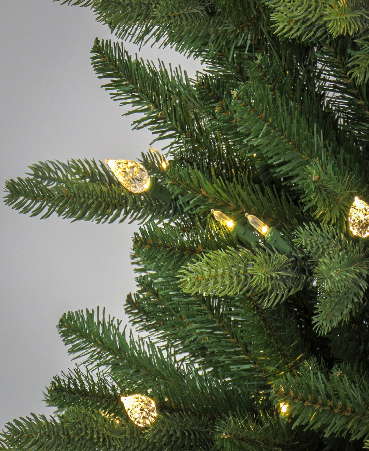 Shop National Tree Company 7.5' Pre-lit Wallace Pine Tree With Led Lights In Green