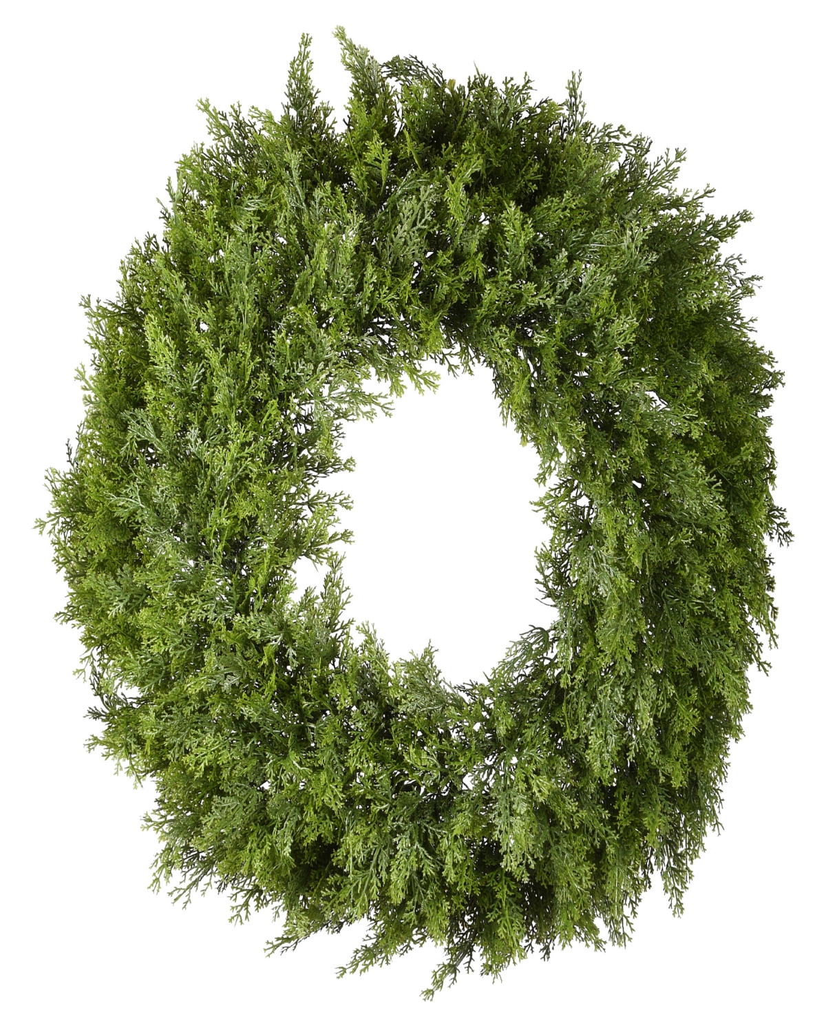 National Tree Company 24" Arborvitae Wreath In Green