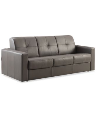Shevrin Leather Sleeper Sofa