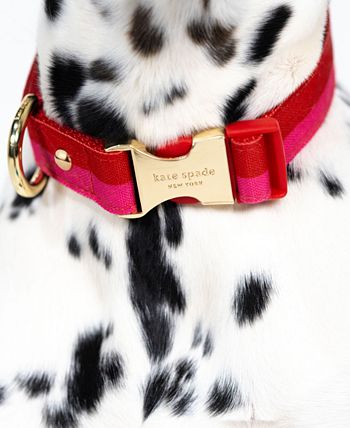 Kate spade dog leash deals