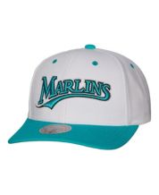  Mitchell & Ness Charlotte Hornets Team Script 2.0 Snapback Hat  Adjustable Cap - Black/Teal/Hardwood Classics : Sports & Outdoors
